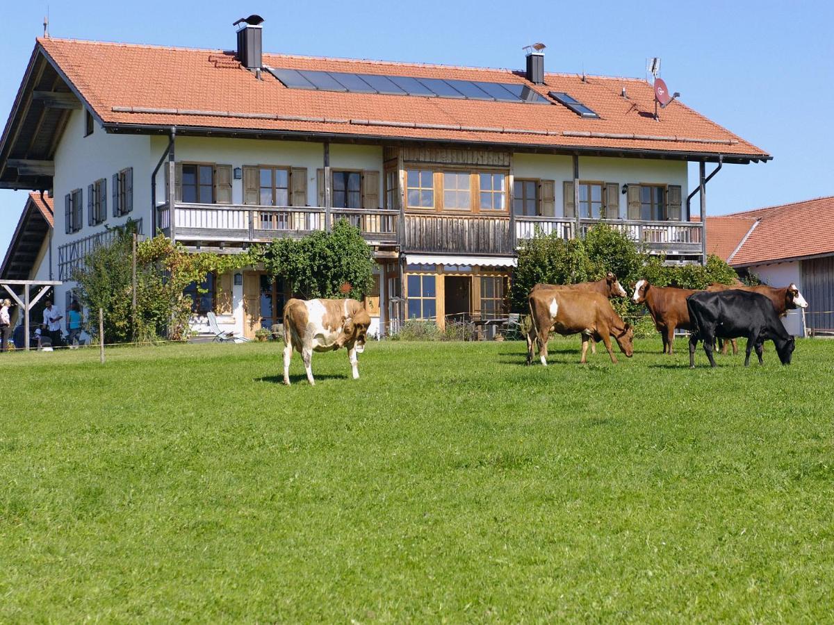 Seeleitenhof Sindelsdorf Eksteriør bilde