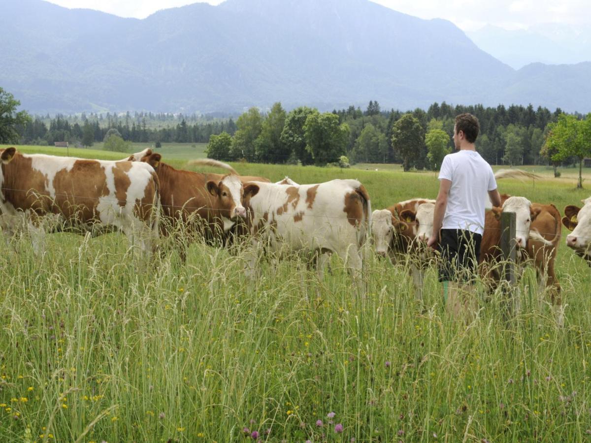 Seeleitenhof Sindelsdorf Eksteriør bilde